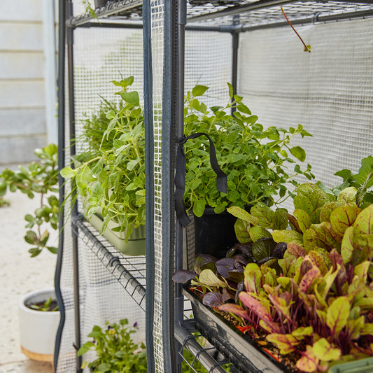 Nurturing Life Through the Winter Chill