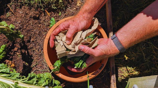 Grow It Local's Guide to Start Composing at Home