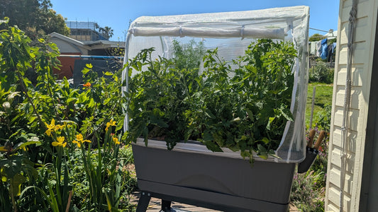 Paul West's Guide to Using a Georgie Portable Raised Garden Bed