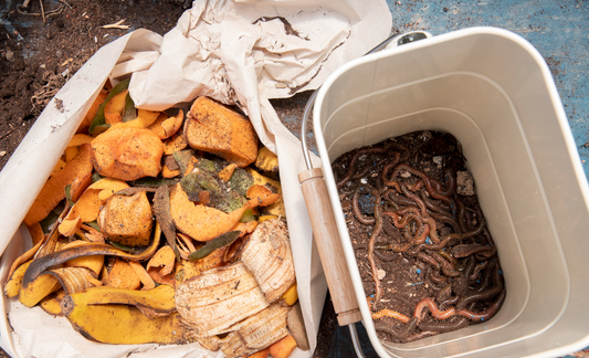 Home composting set up with food scraps and worms in soil.