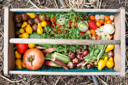 Wooden tray filled with a variety of fresh vegetables, grown in a home garden.