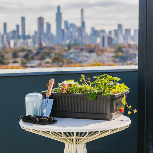 Say Hello to Self-Watering Simplicity: The Easy Way to Grow a Healthier Garden