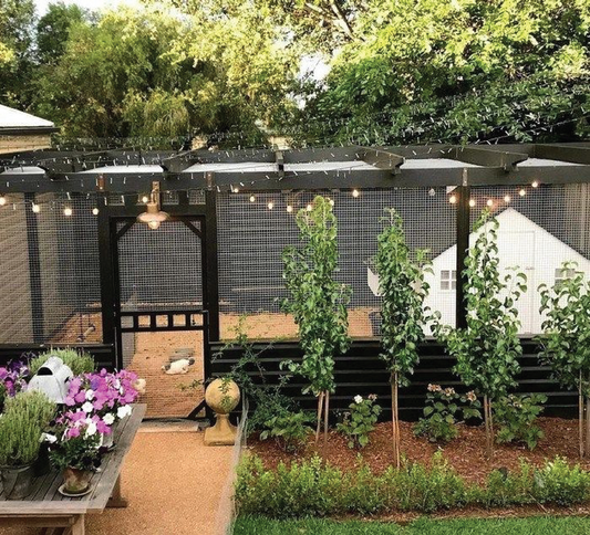 Lush backyard garden with a dedicated greenhouse for home growing.