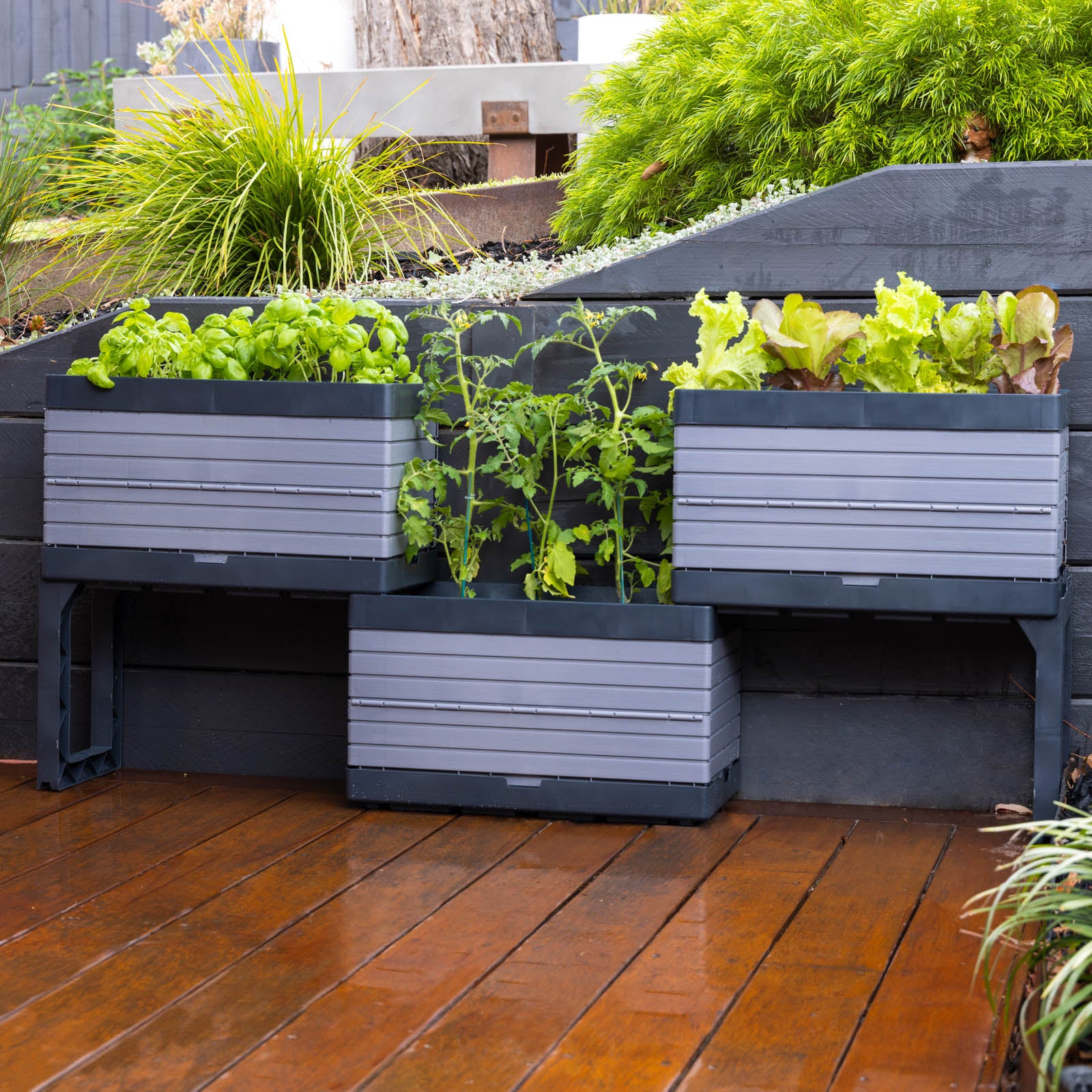 Modular Raised Garden Bed – Backyard Farmer