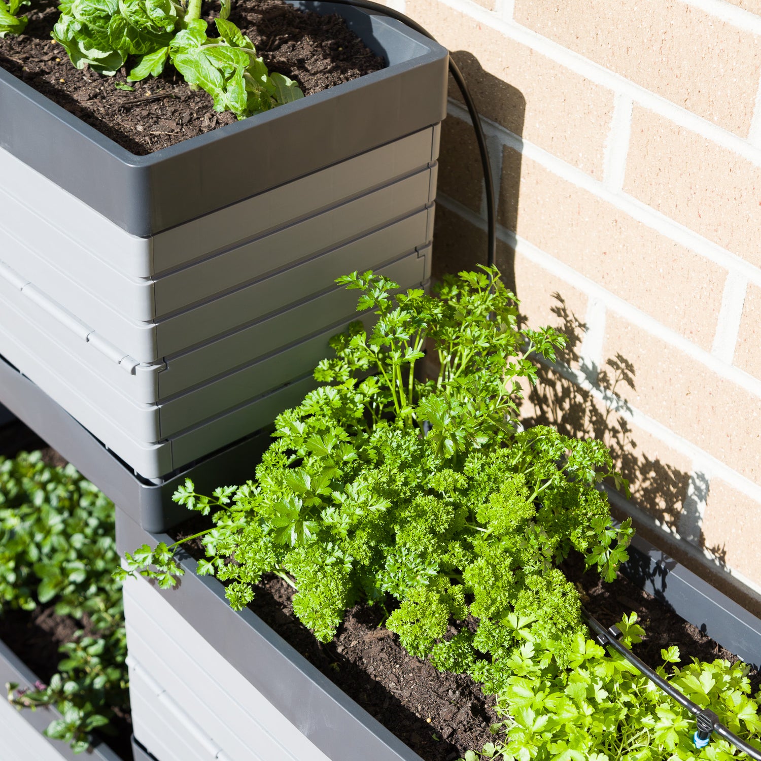 Modular Raised Garden Bed