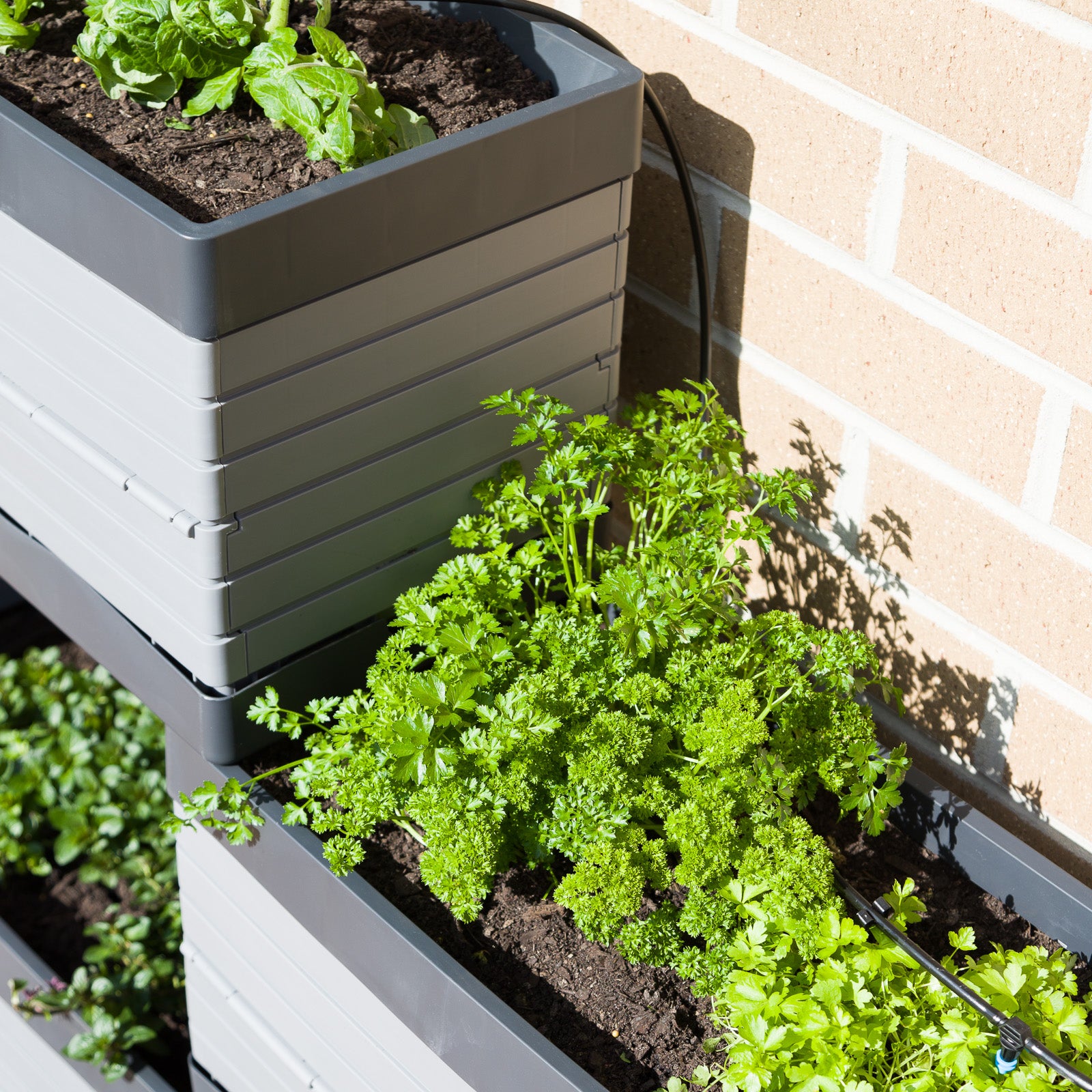 Modular Raised Garden Bed – Backyard Farmer