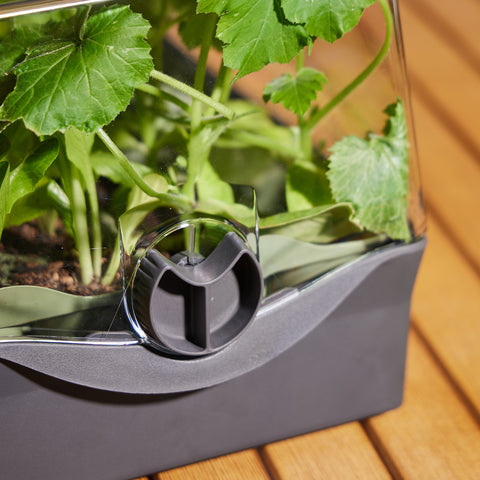 Flori - The Seed Raising Kit – Backyard Farmer