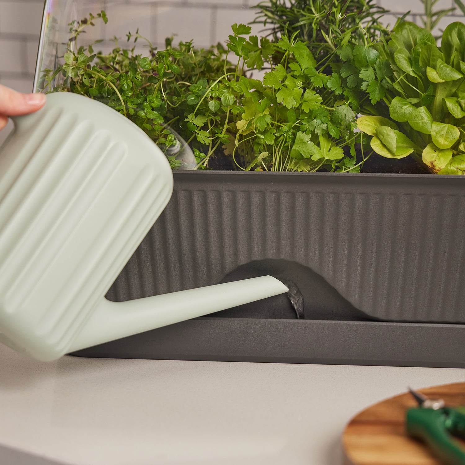 Lula - The Self-Watering Mini Greenhouse