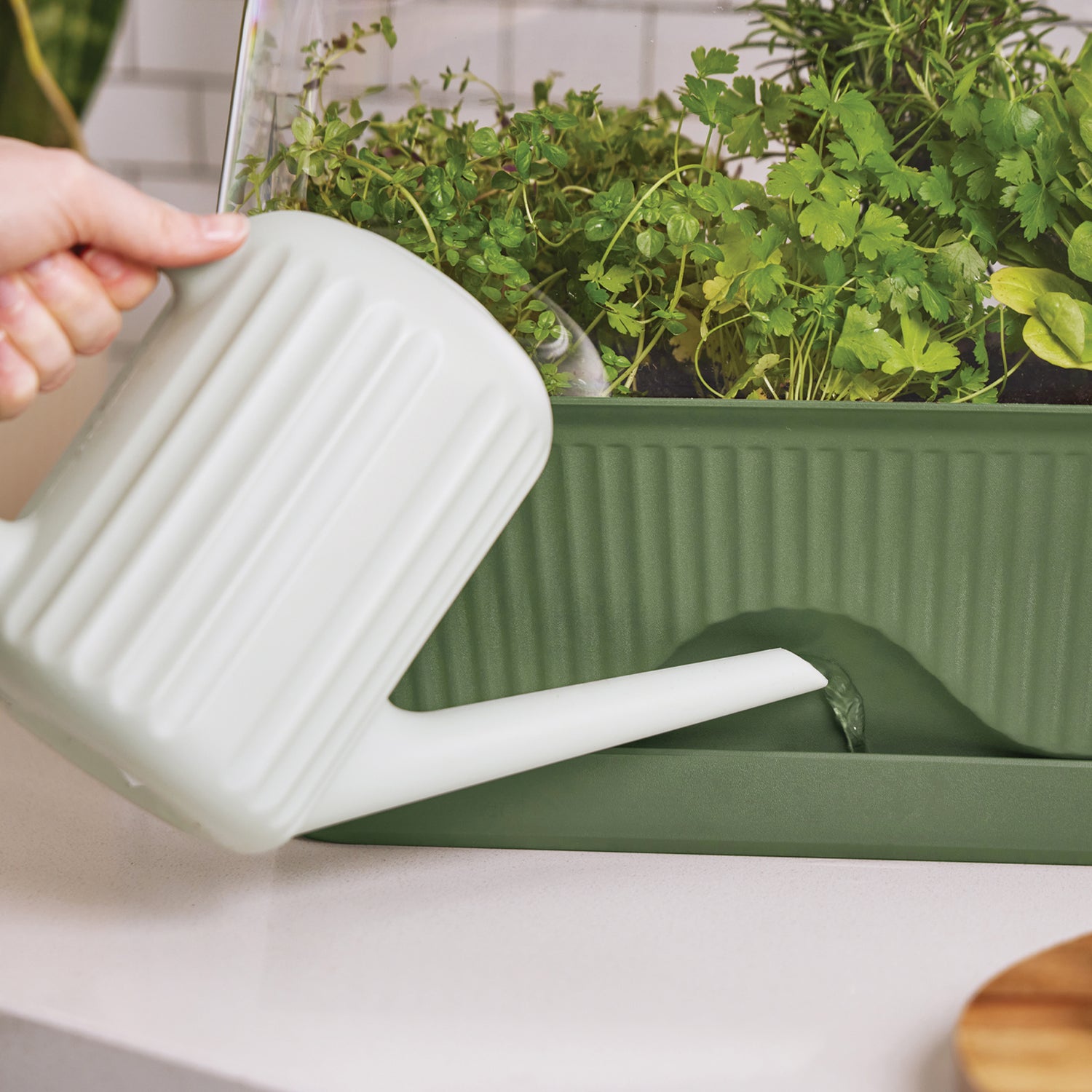 Lula - The Self-Watering Mini Greenhouse