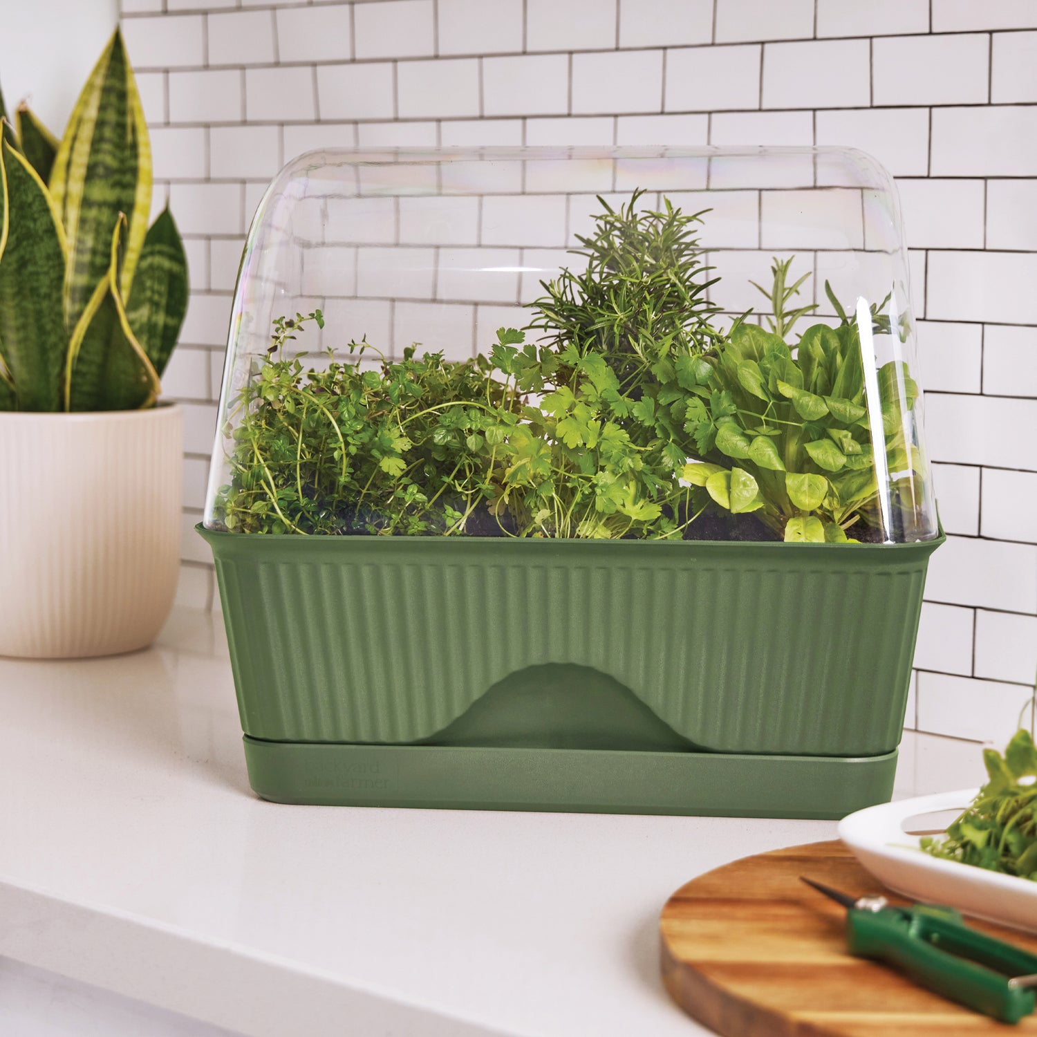 Lula - The Self-Watering Mini Greenhouse