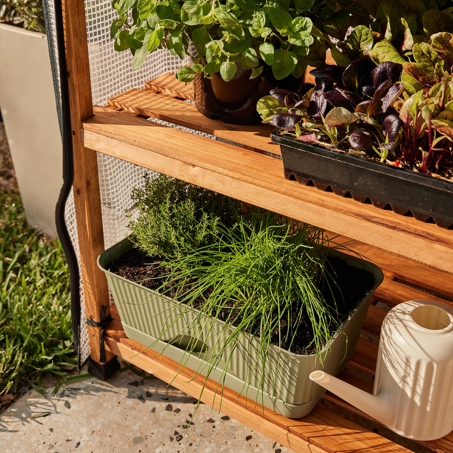 4 Shelf Timber Greenhouse