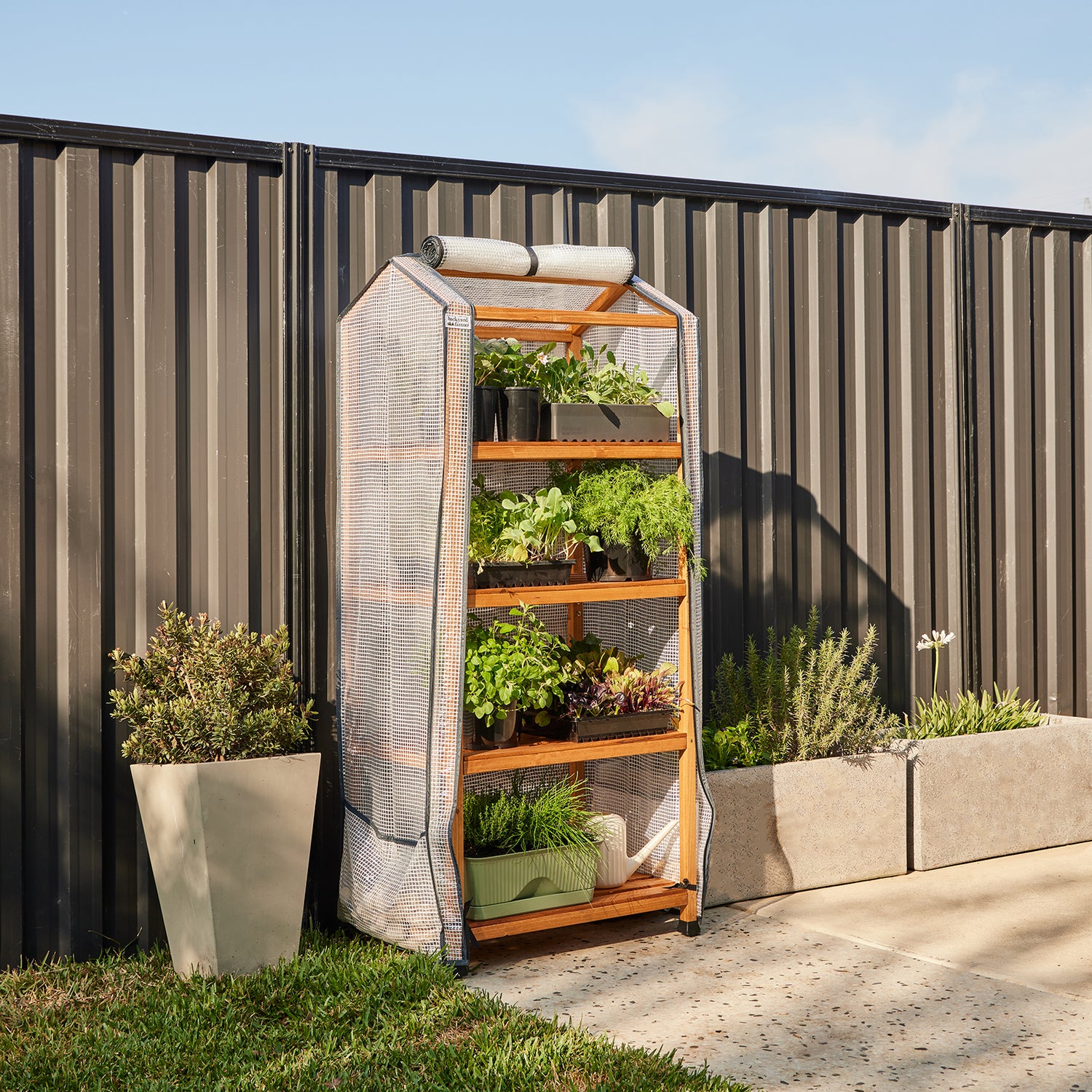 4 Shelf Timber Greenhouse