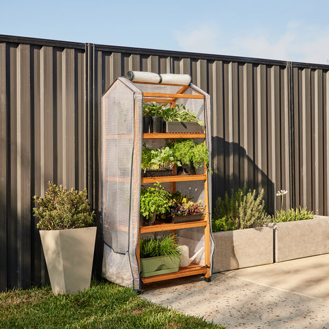 4 Shelf Timber Greenhouse