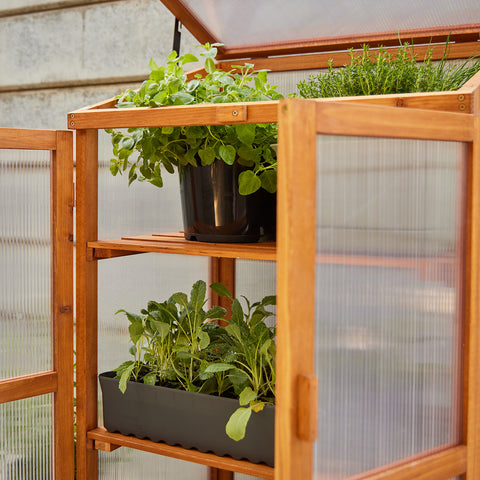 Timber Locker Greenhouse