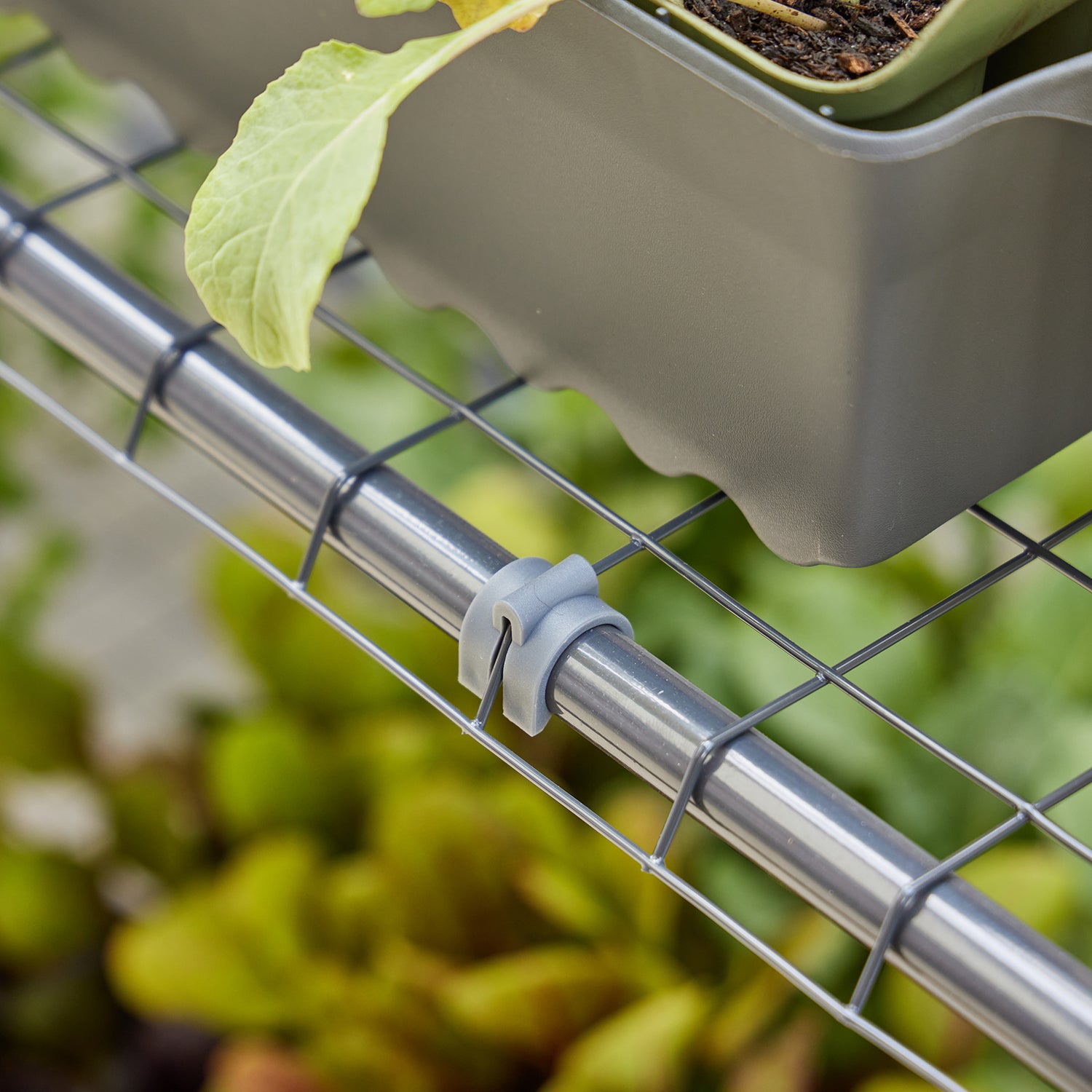 Maxi Greenhouse