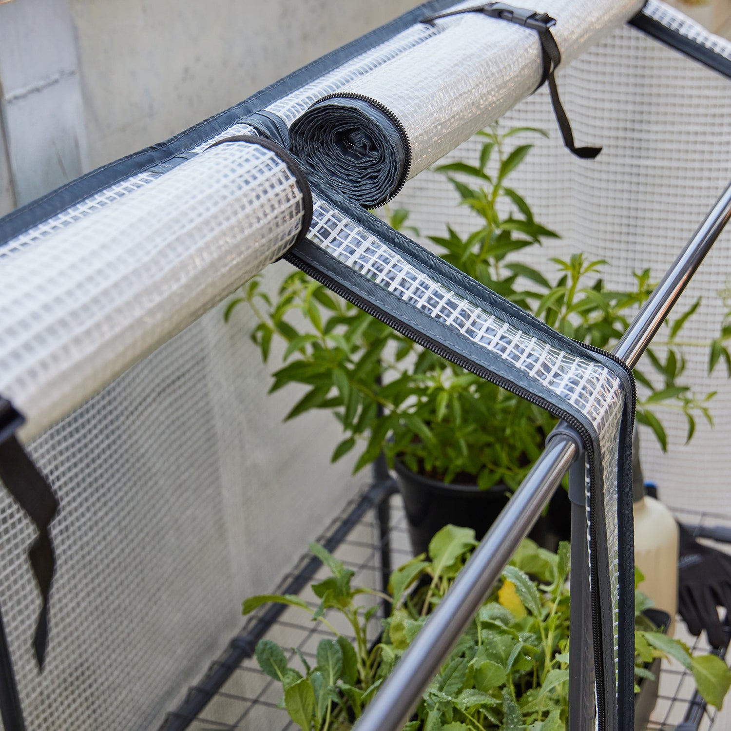 Maxi Greenhouse