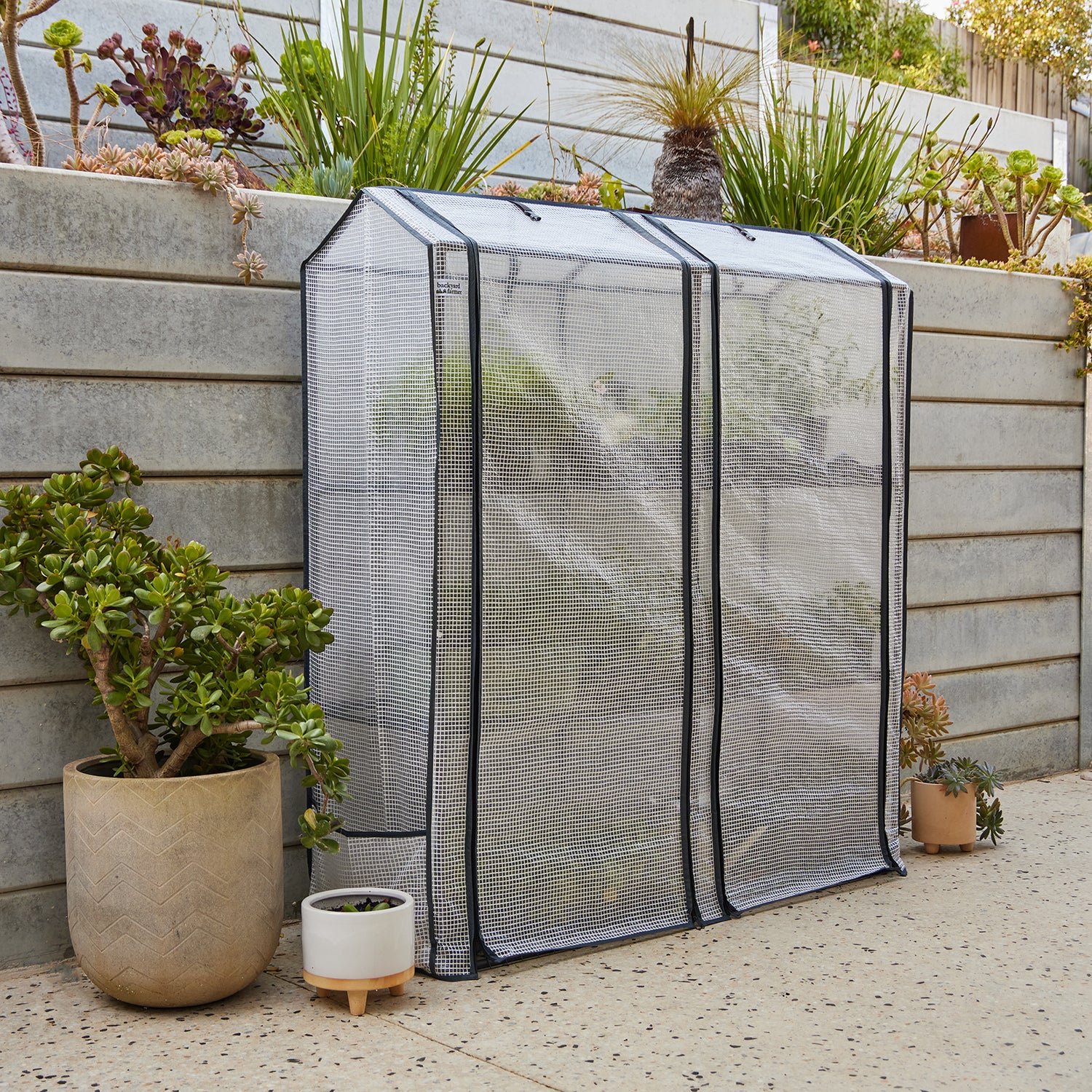 Maxi Greenhouse
