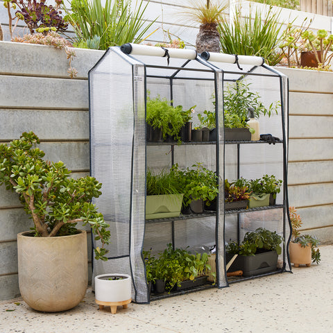 Maxi Greenhouse