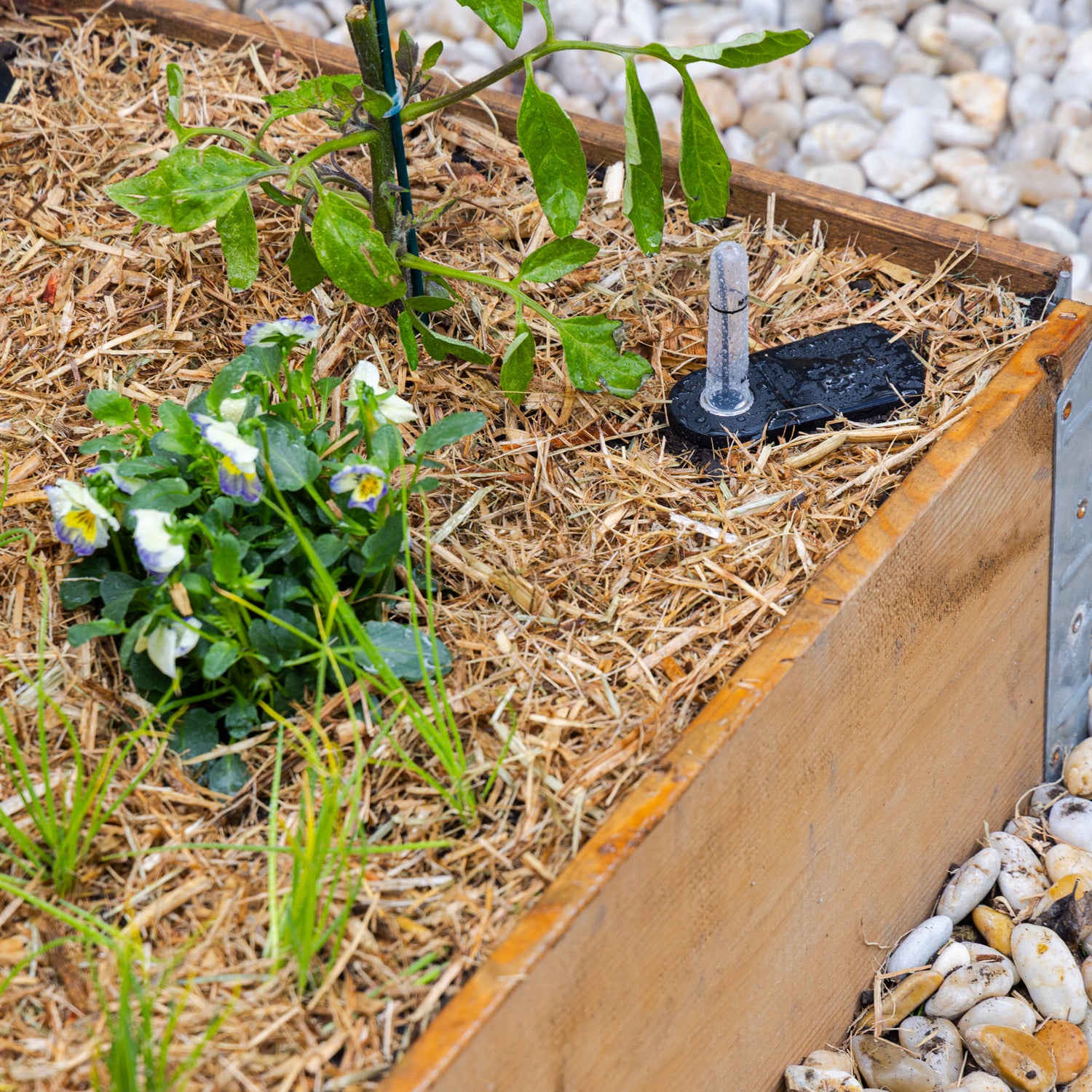 Self-Watering Planter