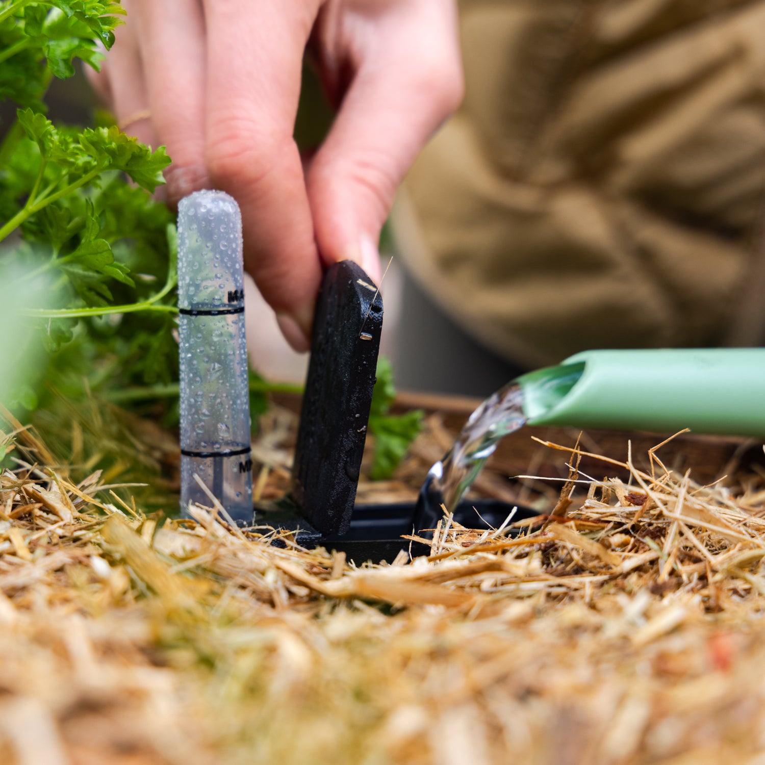 Self-Watering Planter
