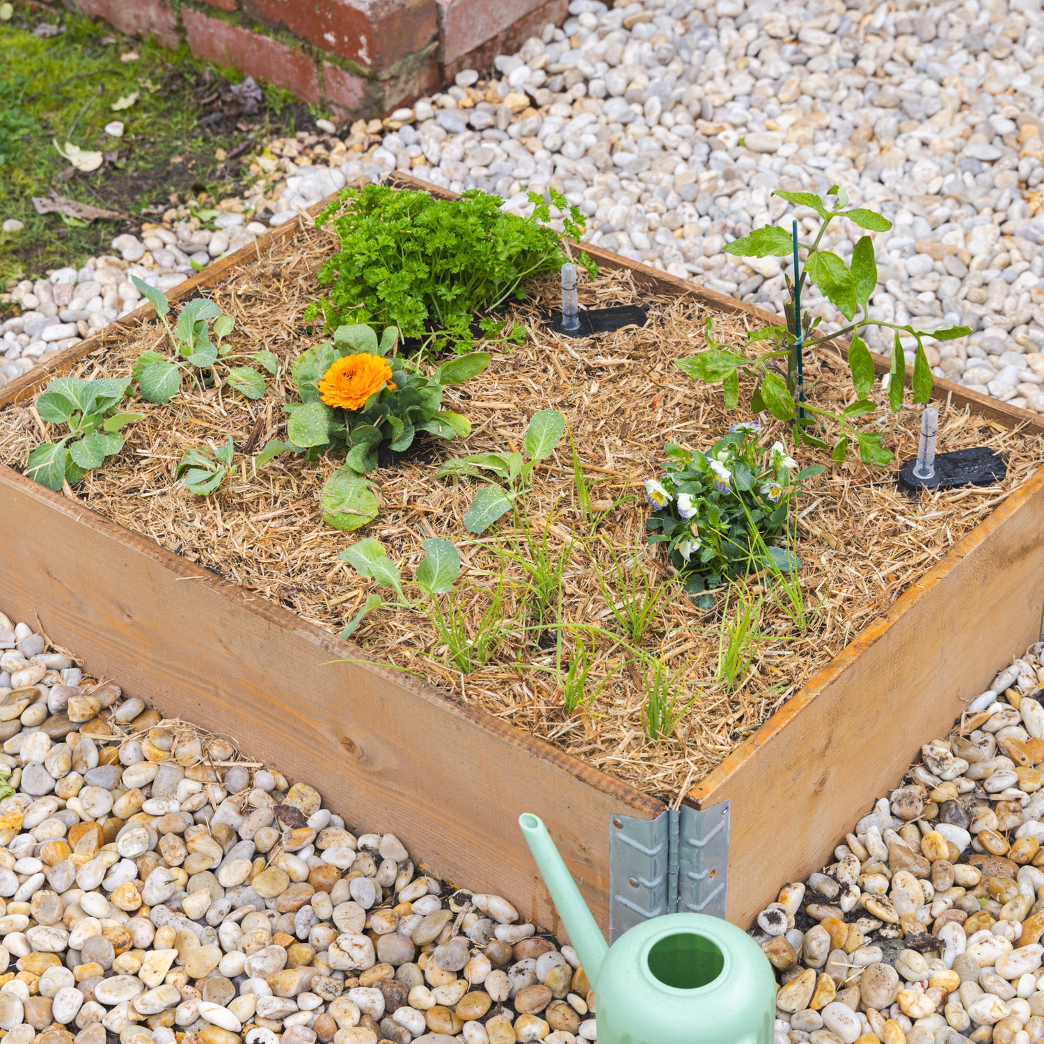 Self-Watering Planter & Raised Garden Bed Insert