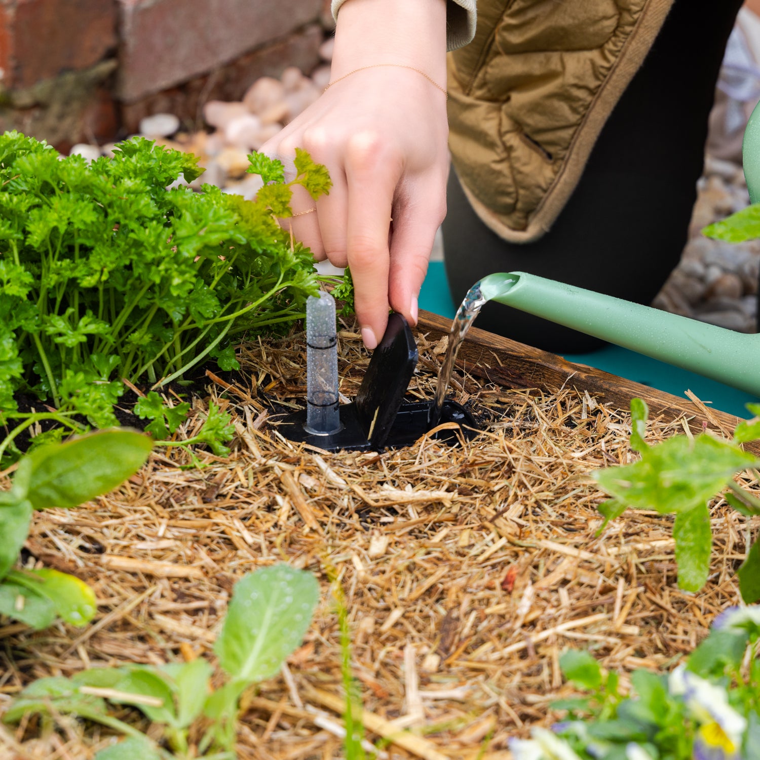 Self-Watering Planter & Raised Garden Bed Insert