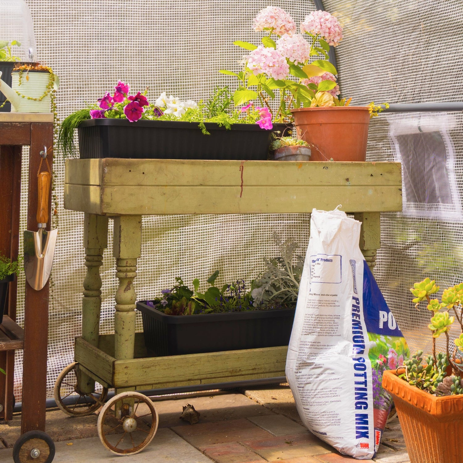 Self-Watering Planter & Raised Garden Bed Insert