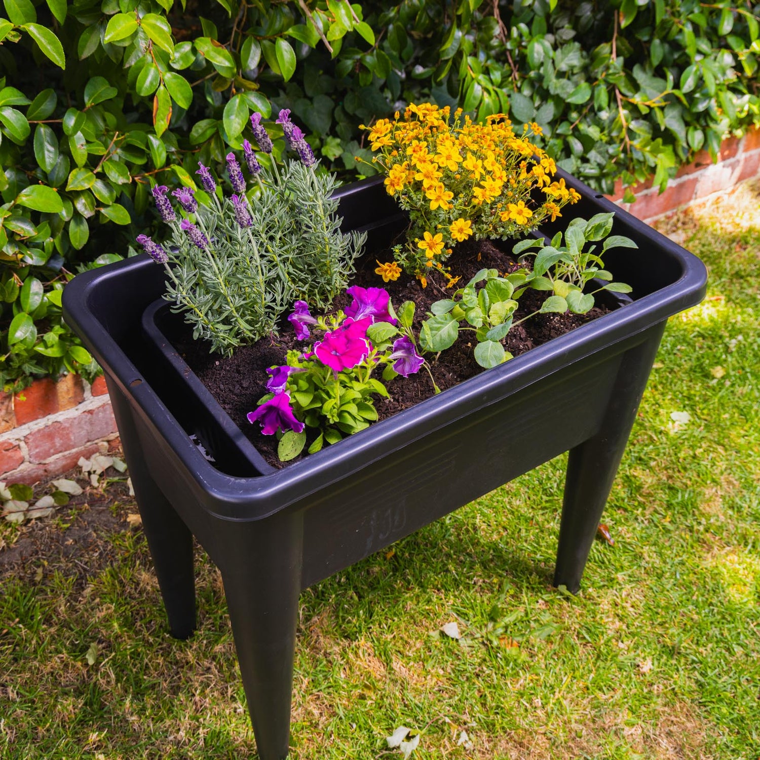 Self-Watering Planter & Raised Garden Bed Insert