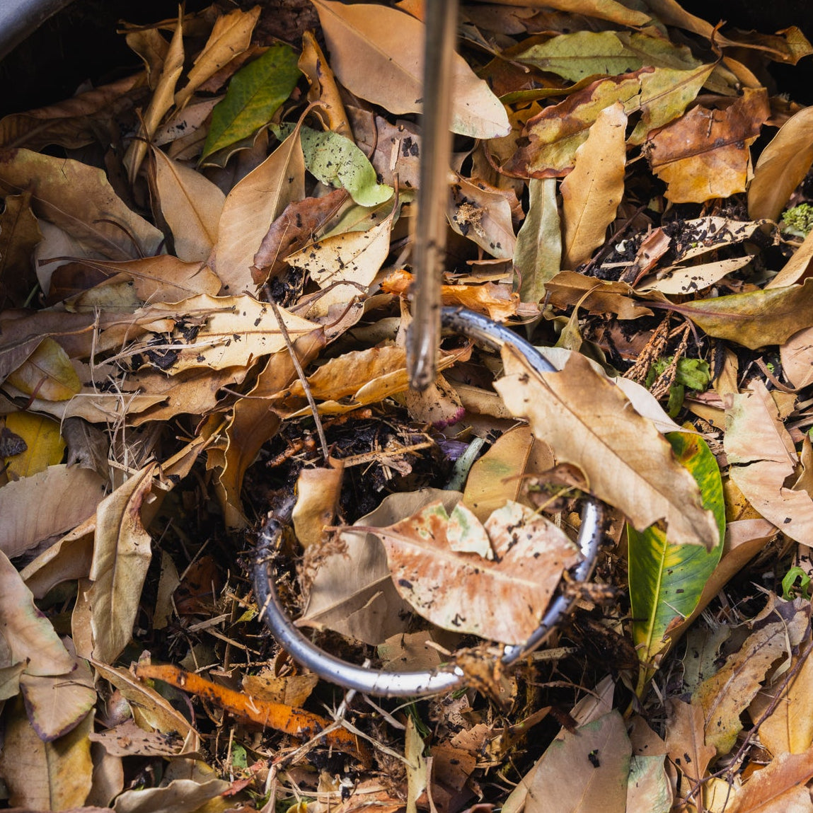 Compost Aerator