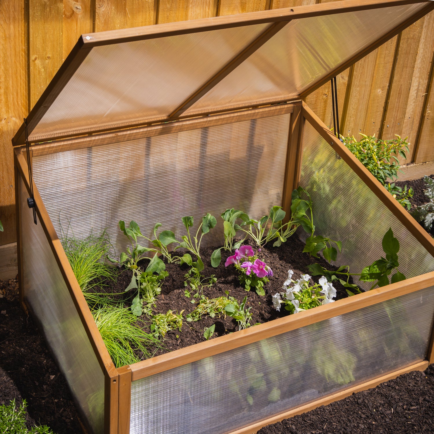 Timber Cold Frame Greenhouse