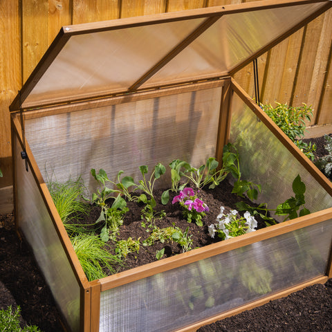 Timber Cold Frame Greenhouse