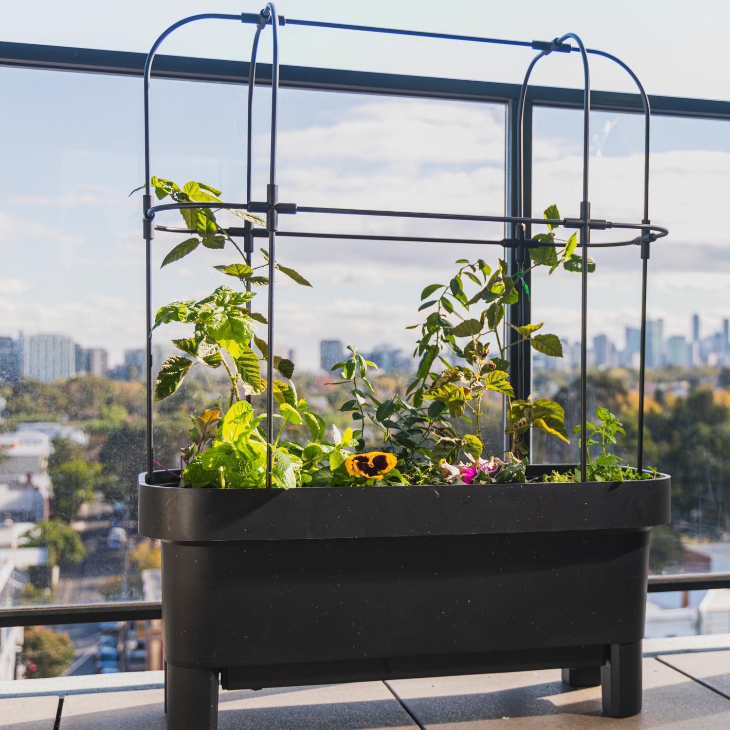 Theo Self Watering Raised Garden Bed With Trellis