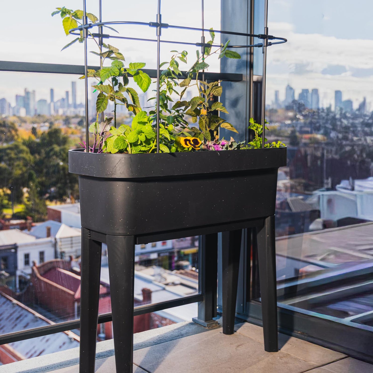 Theo Self Watering Raised Garden Bed With Trellis