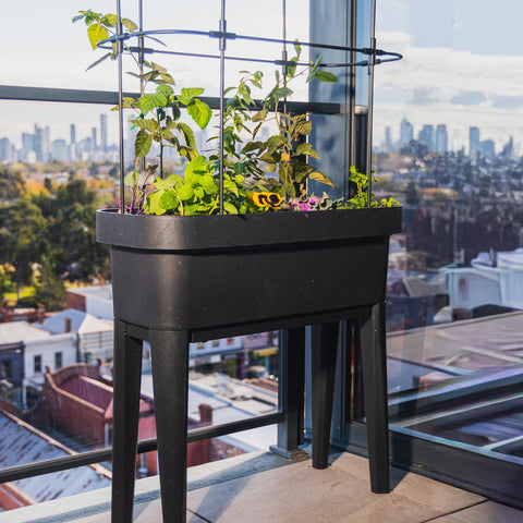 Theo Self Watering Raised Garden Bed With Trellis