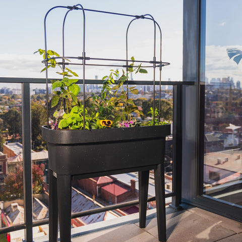 A black rectangular planter table with four legs and an attached metal arched trellis, holding green plants and small flowers on a balcony with a city view.
