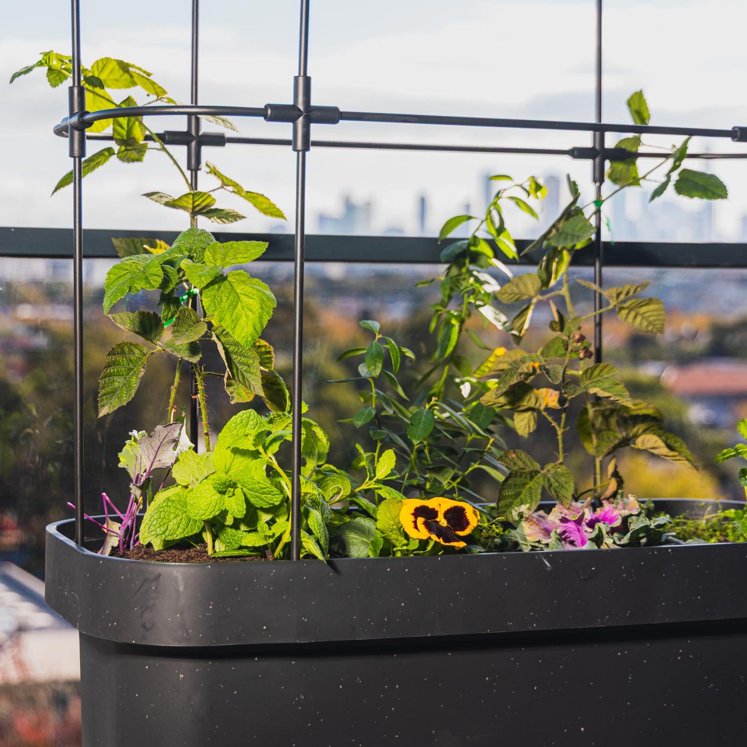 Theo Self Watering Raised Garden Bed With Trellis