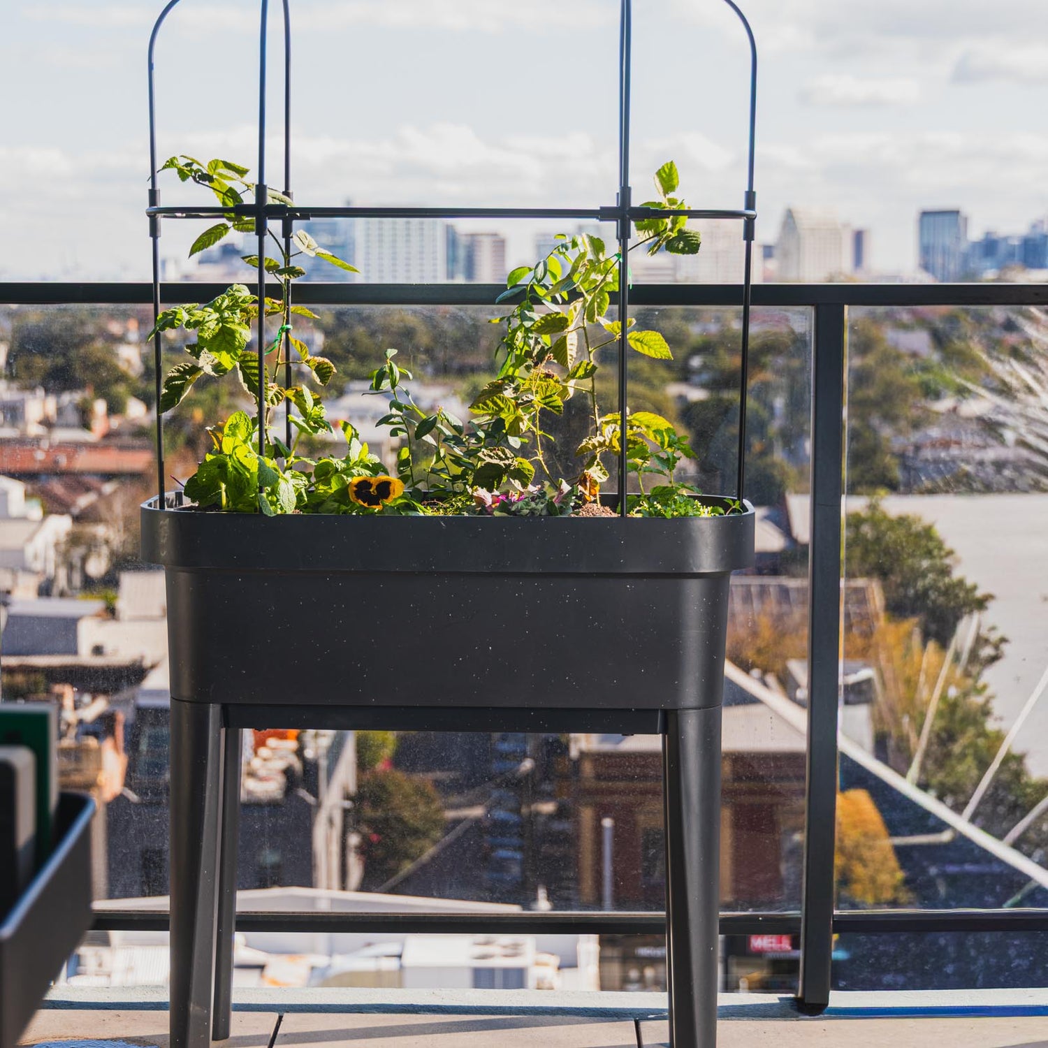 Theo Self Watering Raised Garden Bed With Trellis