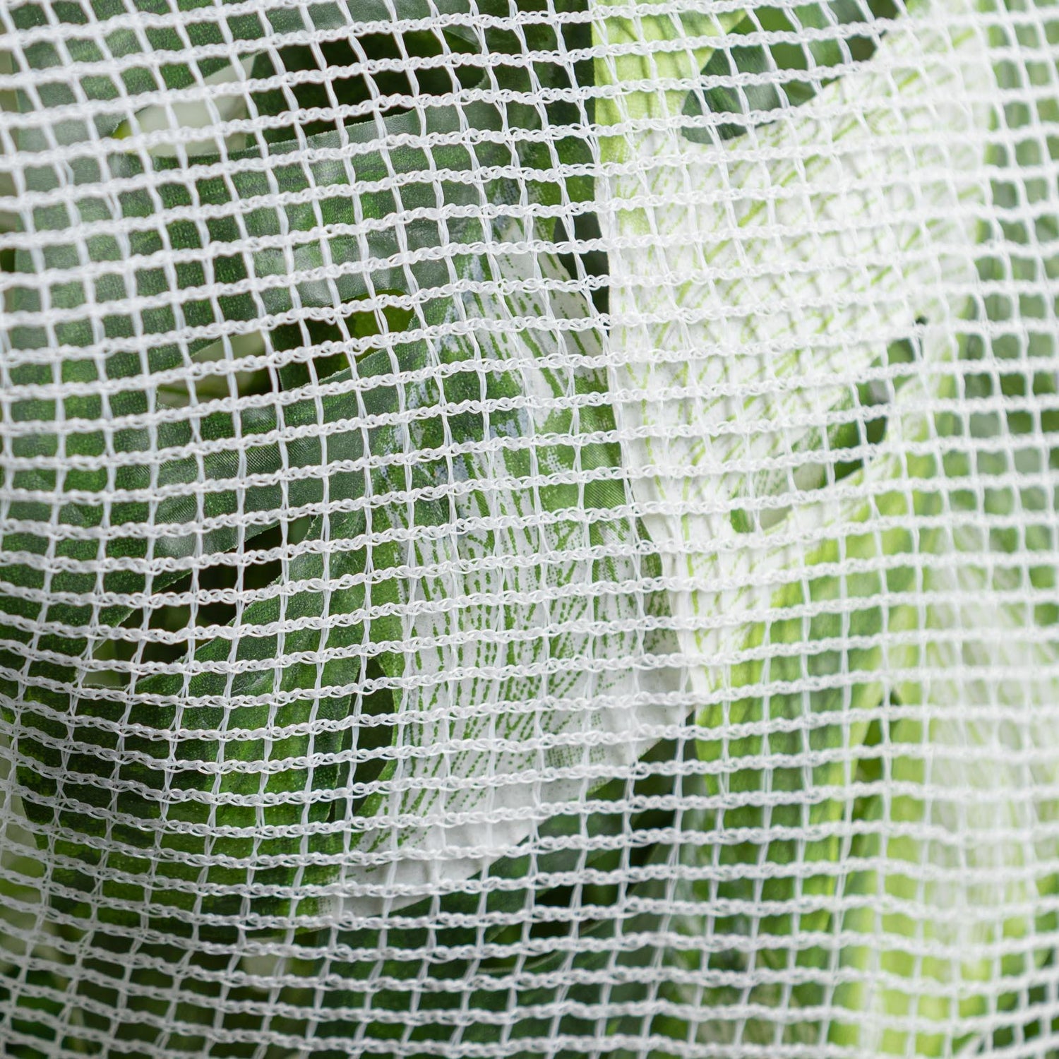 Anti-Animal Netting 2.5 x 2.5m