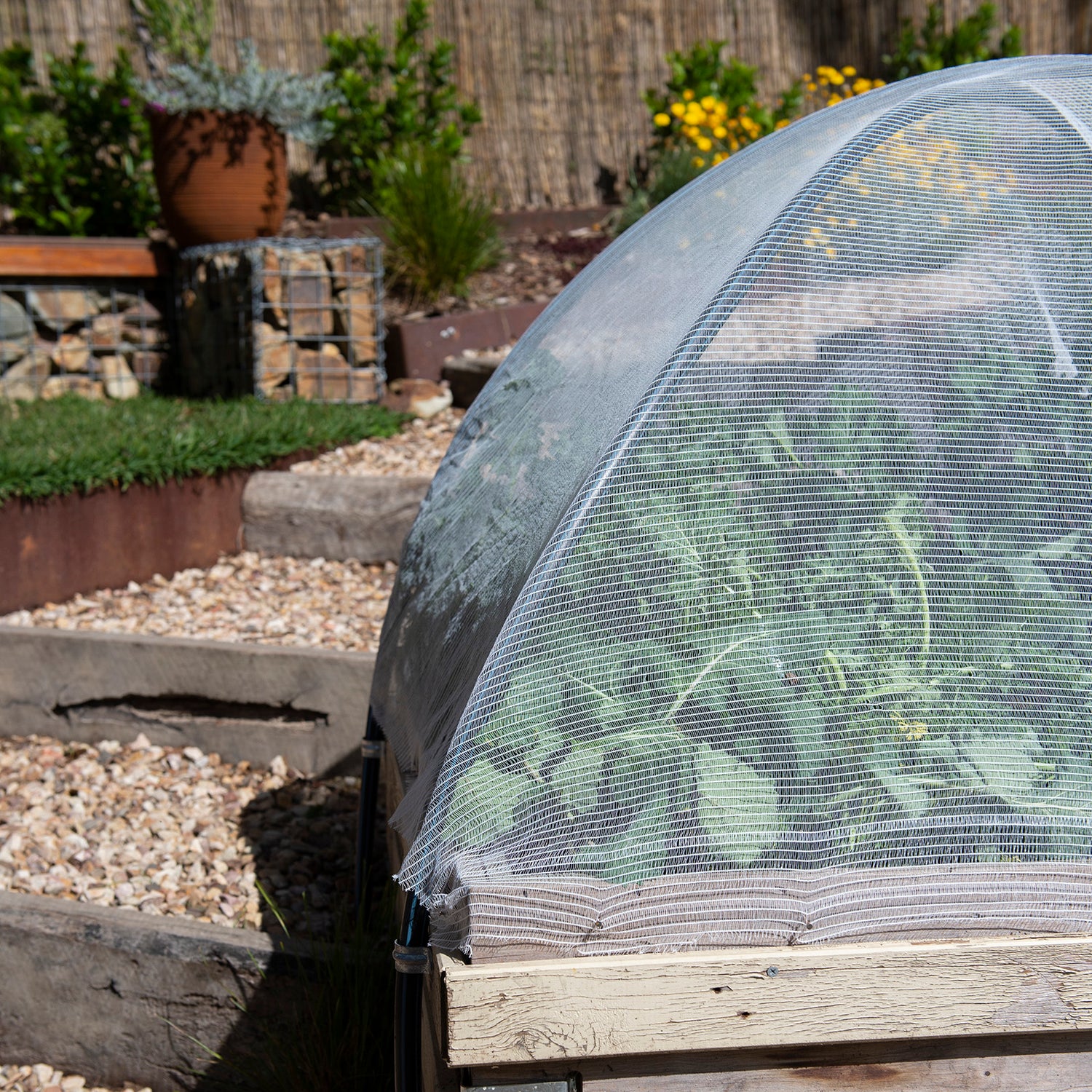 Crop Protection Net