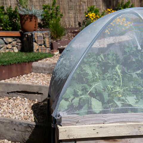 Crop Protection Net