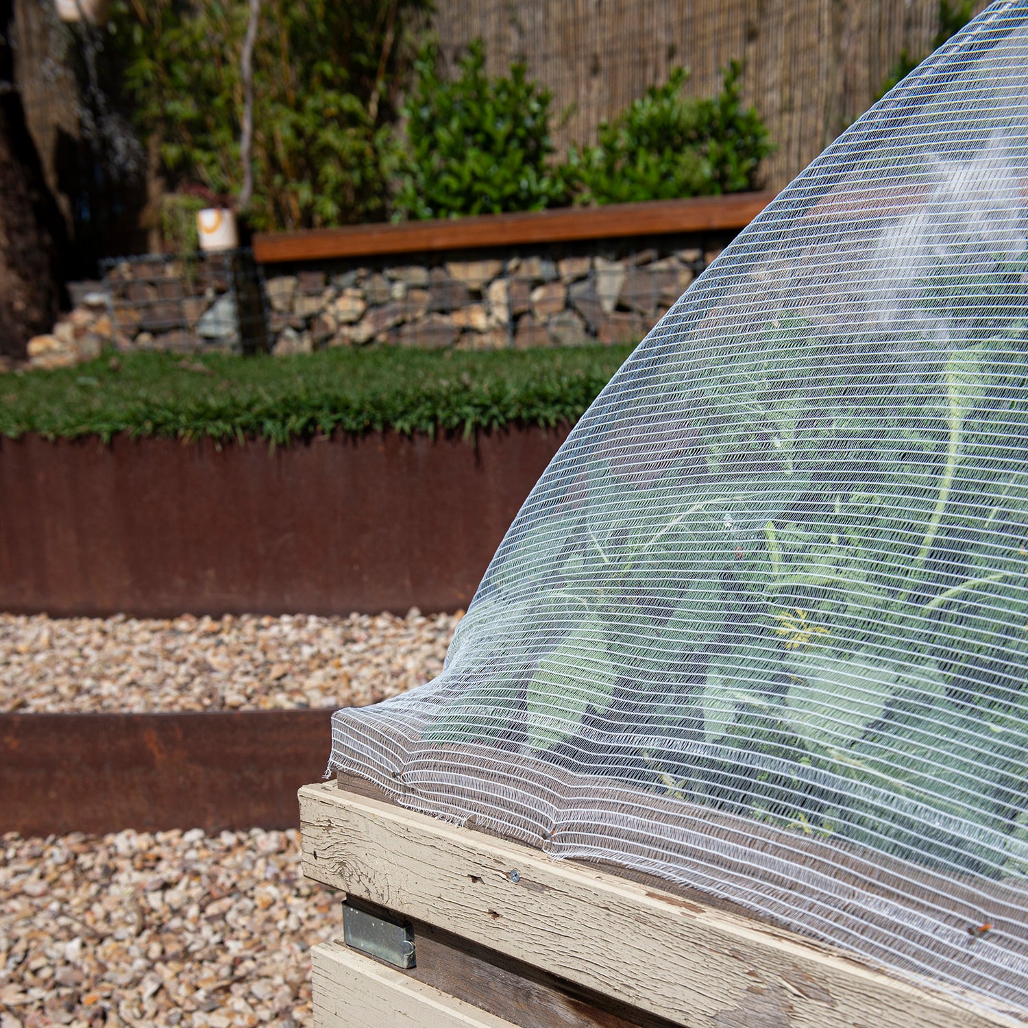 Crop Protection Net