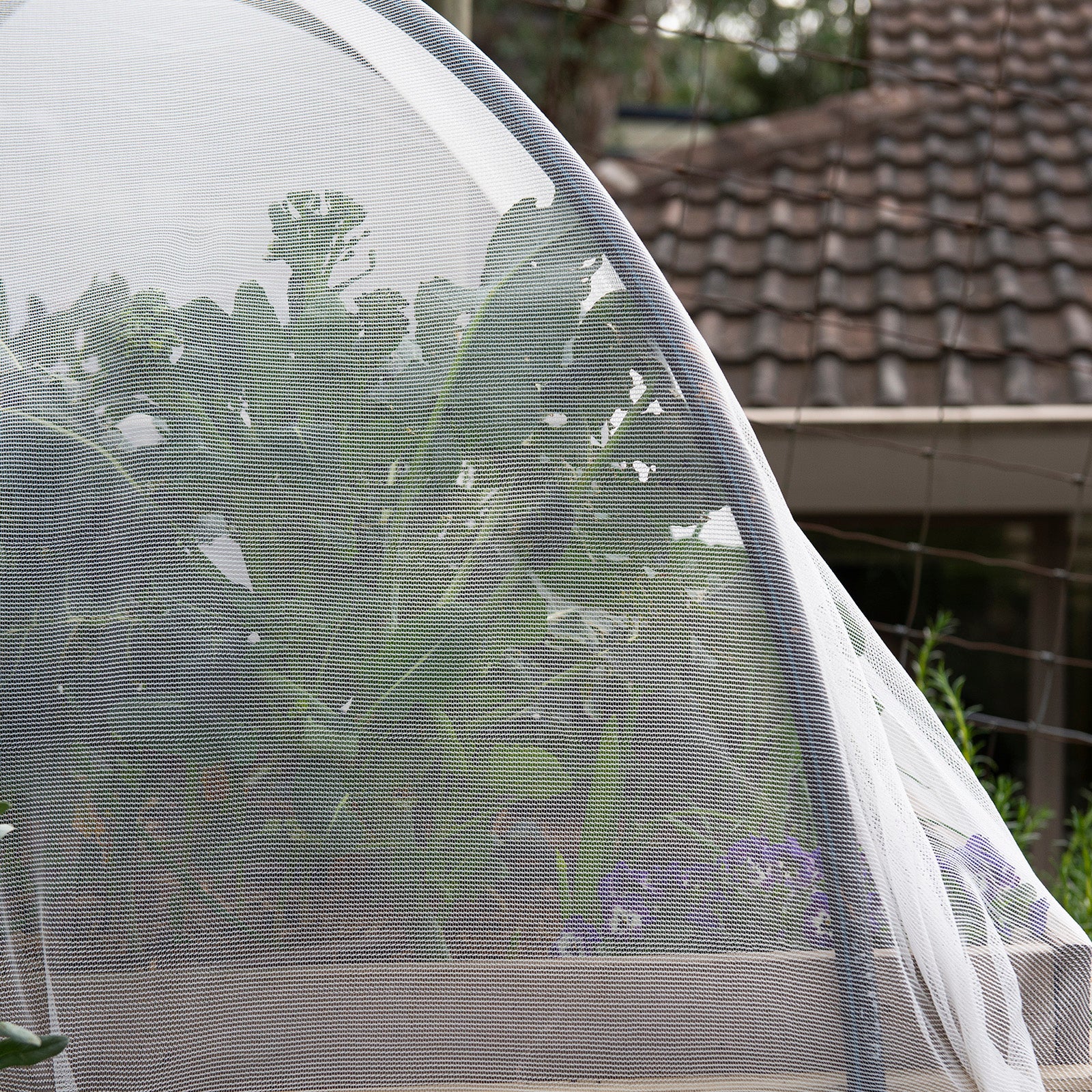 Anti-Insect Net – Backyard Farmer