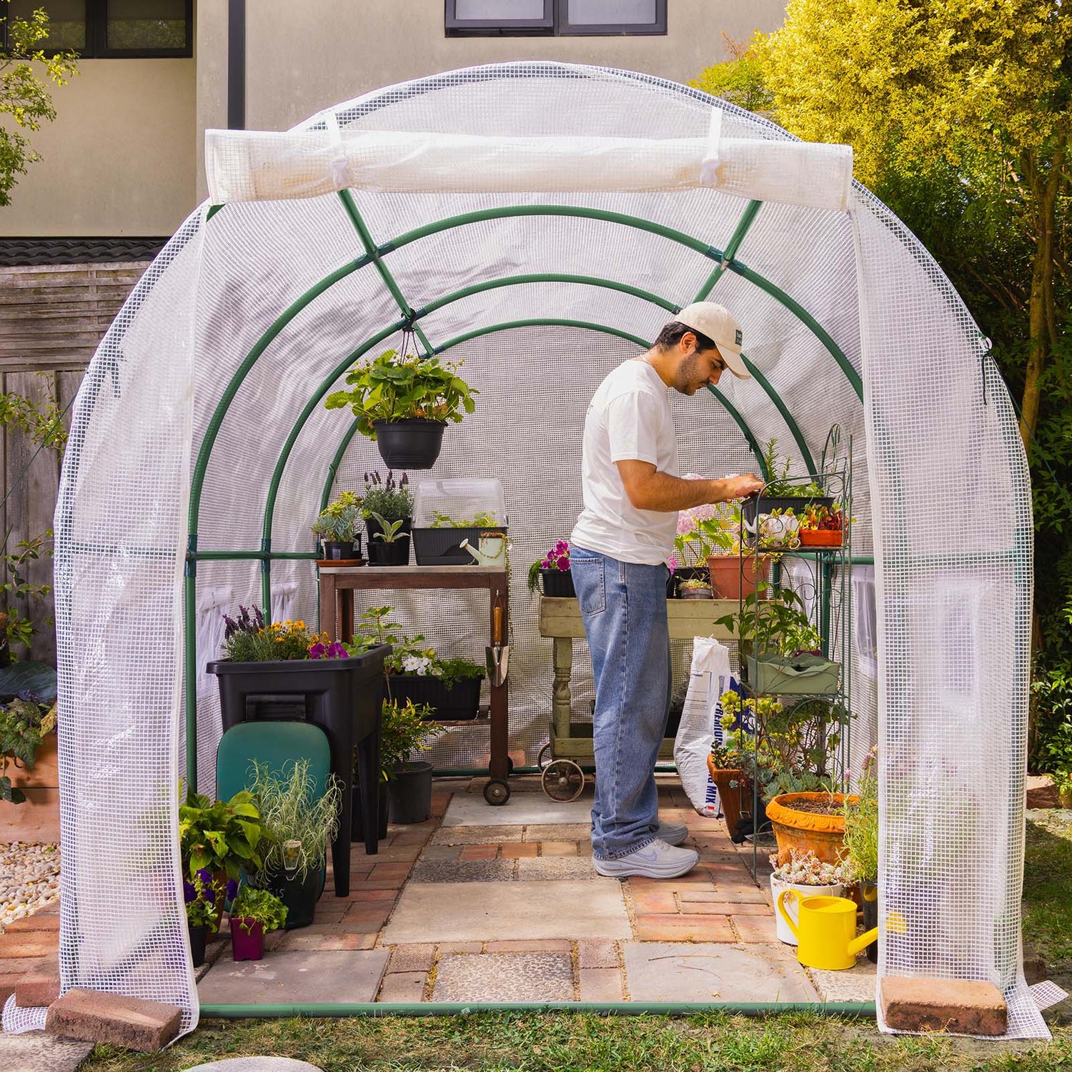 Walk-In Tunnel Greenhouse