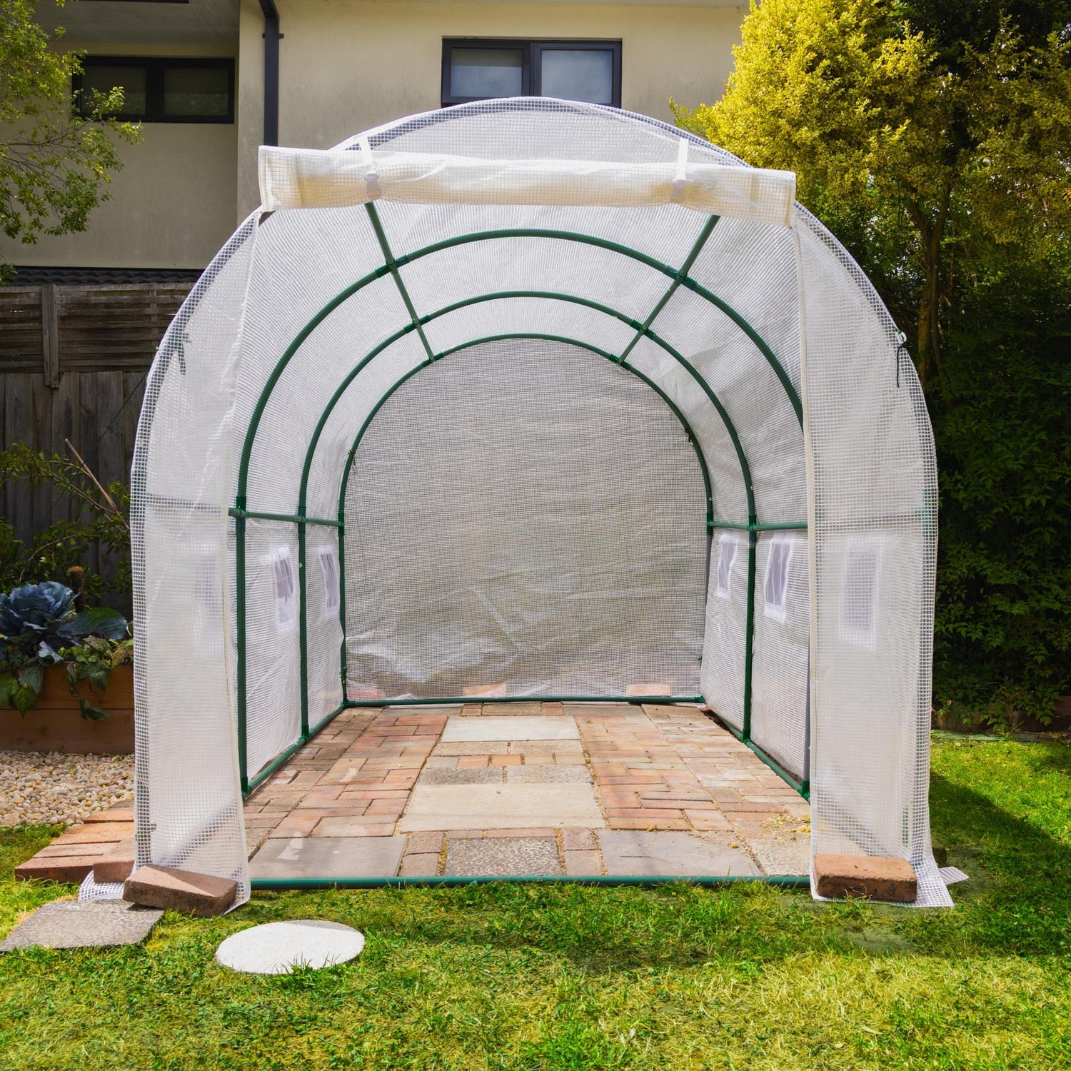 Walk-In Tunnel Greenhouse