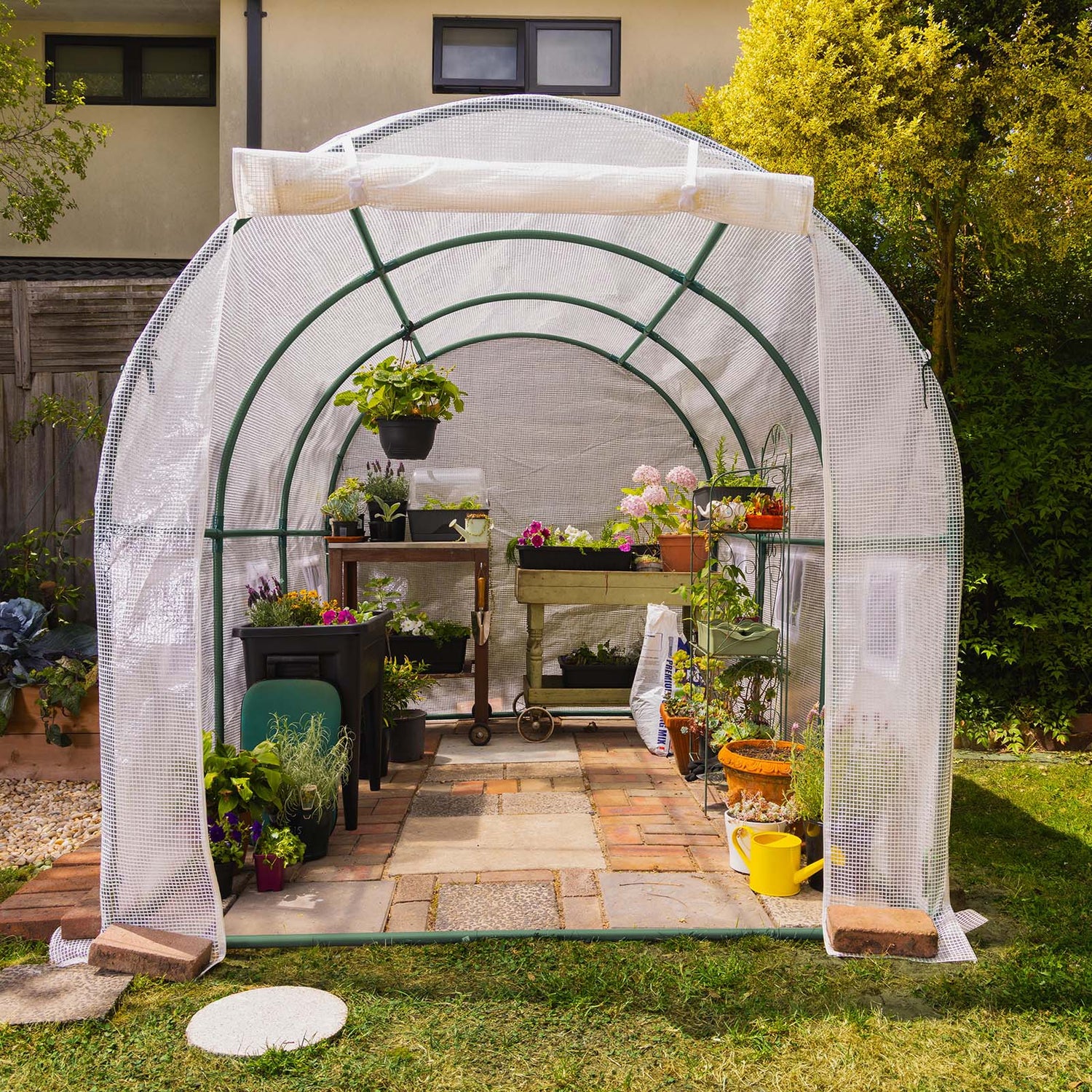 Walk-In Tunnel Greenhouse