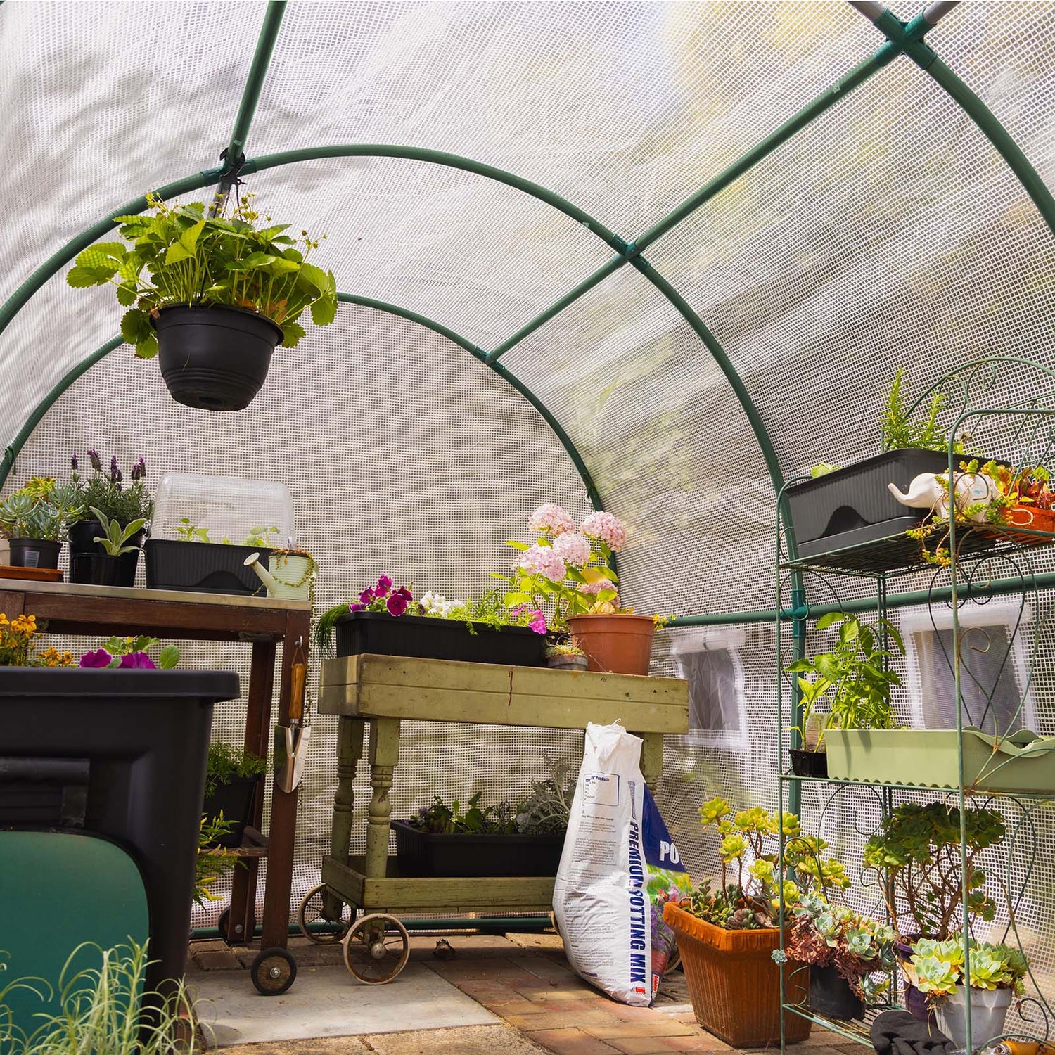 Walk-In Tunnel Greenhouse