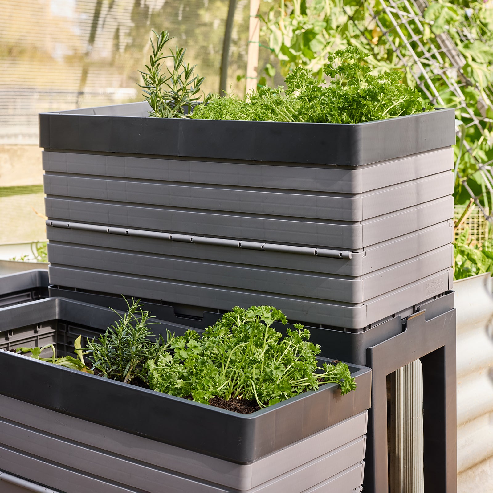 Modular Raised Garden Bed – Backyard Farmer