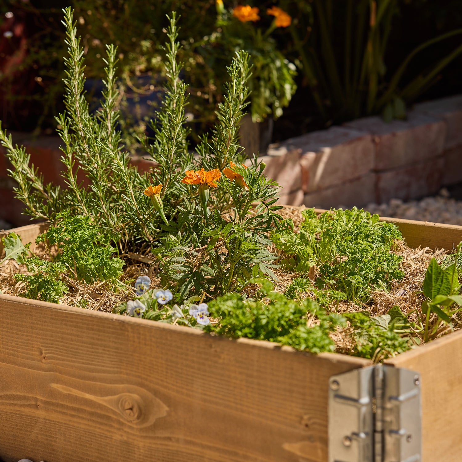 Medium Raised Garden Bed