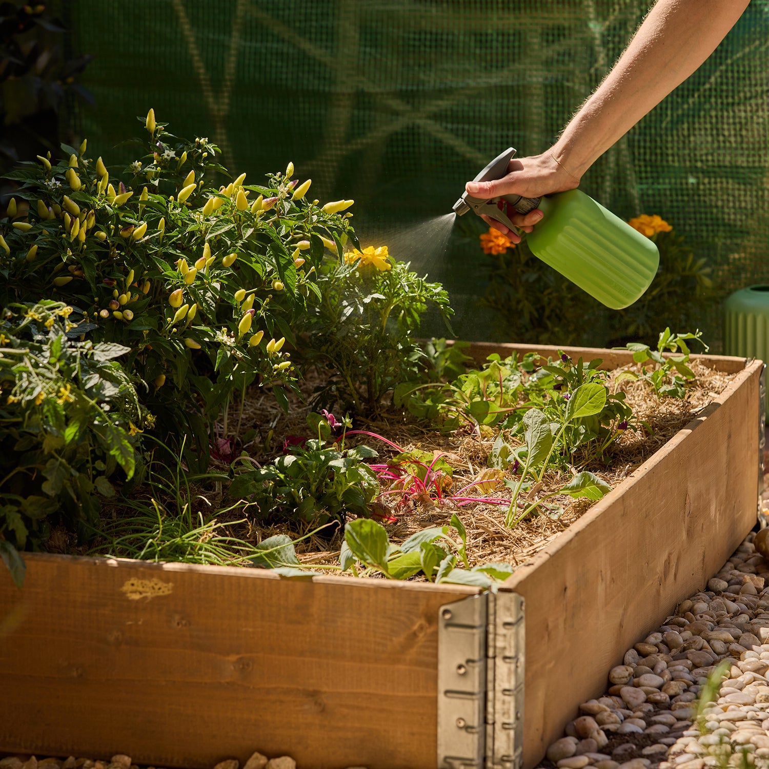 Large Raised Garden Bed
