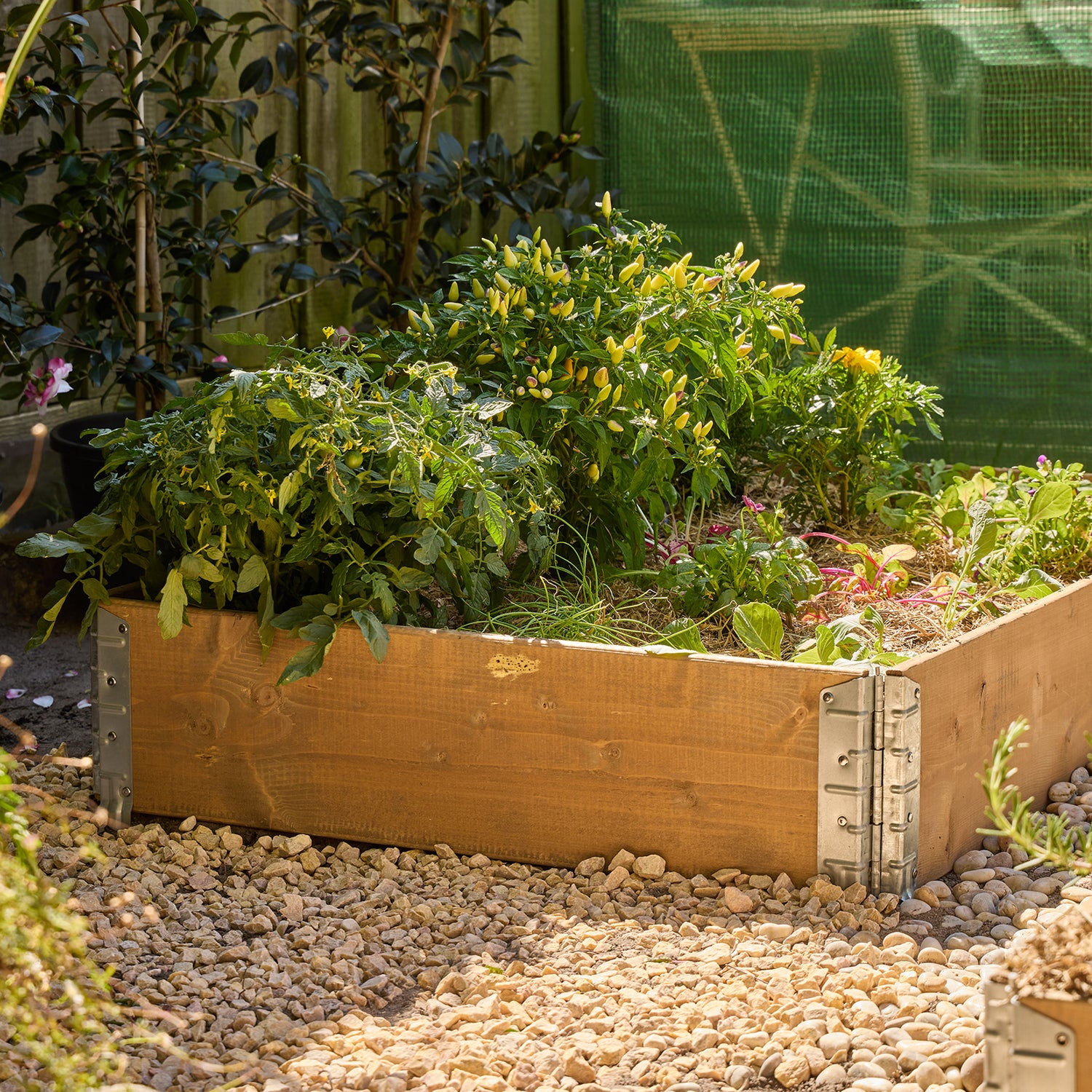 Large Raised Garden Bed
